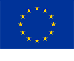LOOG UE